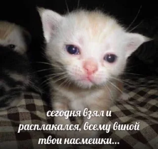 😢 emoji лубофь Telegram sticker 15 of 77