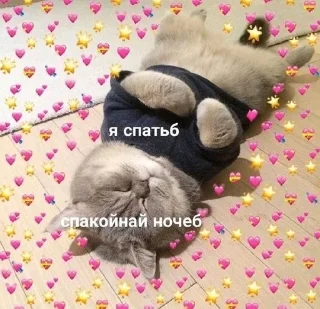 🥱 emoji лубофь Telegram sticker 8 of 77