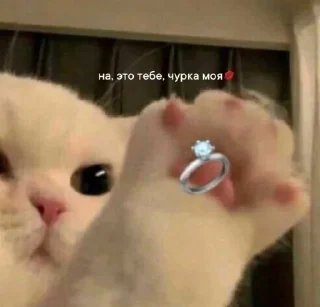 💍 emoji лубофь Telegram sticker 16 of 77
