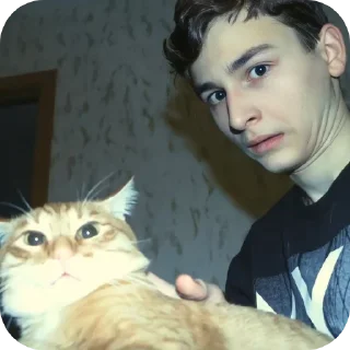 🐱 emoji Брайн Telegram sticker 23 of 48