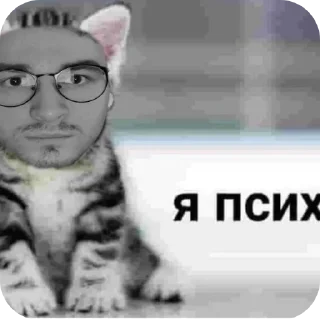 👓 emoji Брайн Telegram sticker 17 of 48