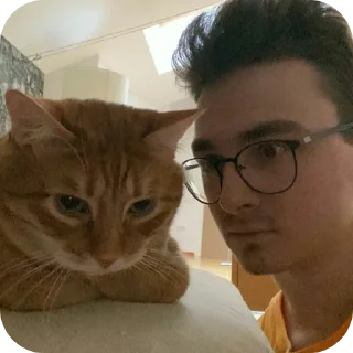🐱 emoji Брайн Telegram sticker 9 of 48