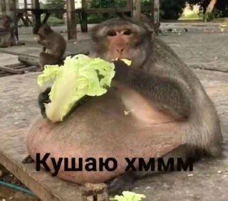 Sticker from Монке хмммм