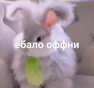Sticker from не воровать @tr33sha
