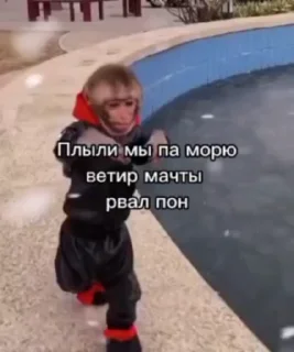 Sticker from Обезьянки @Grisa16vo