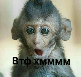 Sticker from Монке хмммм