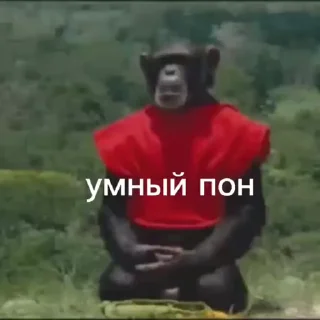 ✌️ emoji Пон, монке и бибизяны Telegram sticker 18 of 95