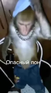 🍃 emoji Пон, монке и бибизяны Telegram sticker 17 of 95