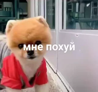 Sticker from не воровать @tr33sha
