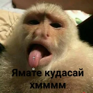 Sticker from Монке хмммм