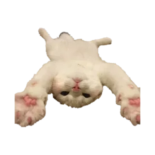 Sticker from котики от @flewugly