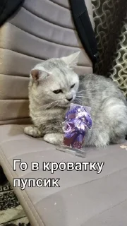Sticker from Макс