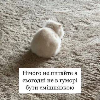 Sticker from сало з цибулею