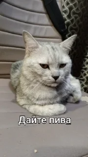 Sticker from Макс