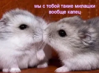 Sticker from Милашка