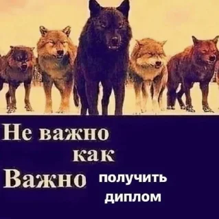 Sticker from вкуснятинка от полины c6urve