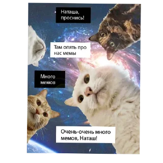 🐱 emoji Фурина и уси Telegram sticker 23 of 60