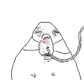 Sticker from hamster 🐹 #1