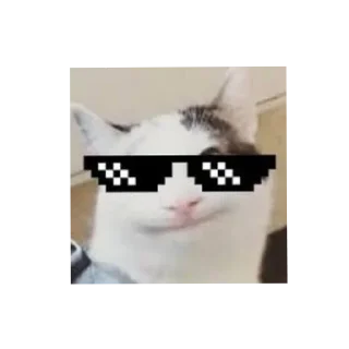 Sticker from Хакер белый херацкер