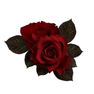 Sticker from Heart's Desire