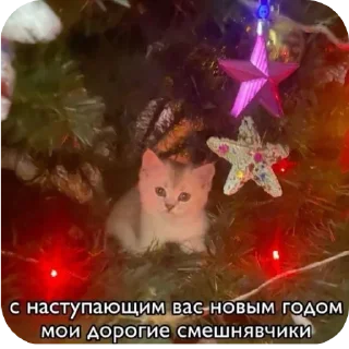 Sticker from зима и новый год @StickersPackRobot