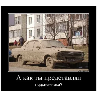 Sticker from Ты не ты када волга