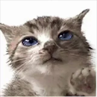 🌟 emoji @mocrote Telegram sticker 9 of 31