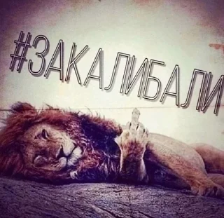 Sticker from свабоду папугаям
