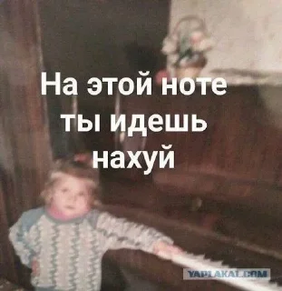 Sticker from Наркамань белки #3