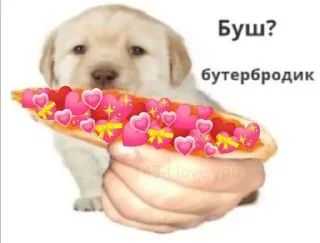 любовь sticker 3