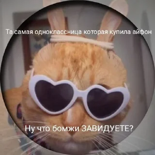 😎 emoji Коты Telegram sticker 10 of 25
