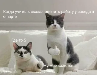 💯 emoji Коты Telegram sticker 19 of 25