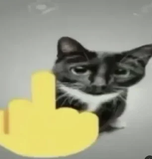 Sticker from коты