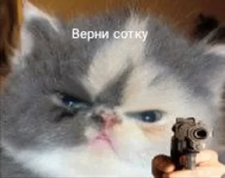 🔫 emoji Коты Telegram sticker 13 of 25