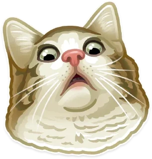 Sticker from #Stories]