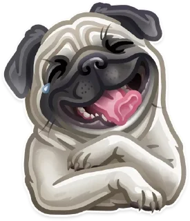 Sticker from #Stories]