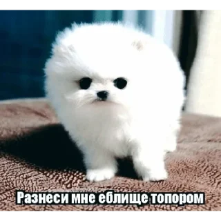 ❤️ emoji сделал морген Telegram sticker 19 of 109