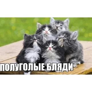 😡 emoji сделал морген Telegram sticker 5 of 109