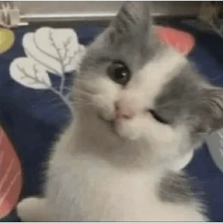 ❤️ emoji сделал морген Telegram sticker 24 of 109