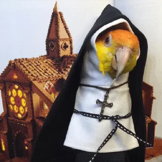 ⛪️ emoji Birb of the Year III @birblife Telegram sticker 8 of 20