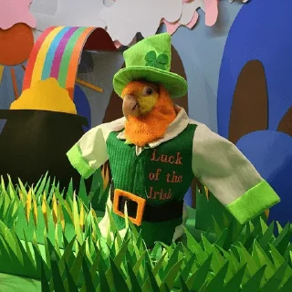 🇮🇪 emoji Birb of the Year III @birblife Telegram sticker 9 of 20