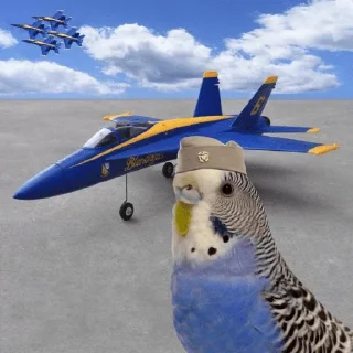 ✈️ emoji Birb of the Year III @birblife Telegram sticker 17 of 20
