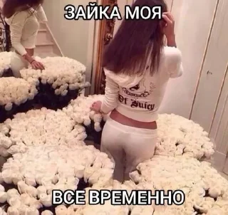 Sticker from Новые стикеры в @stikeriq