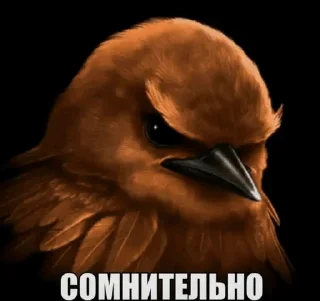🤨 emoji вряд-ли... by @pipopiponya Telegram sticker 5 of 41