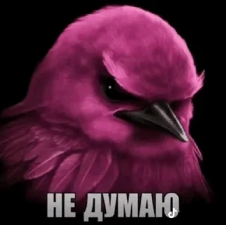 😤 emoji вряд-ли... by @pipopiponya Telegram sticker 12 of 41