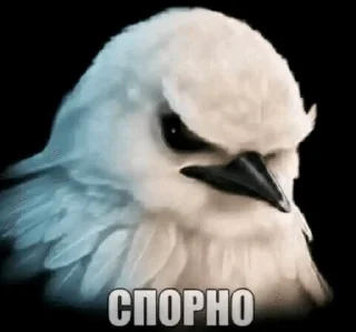 🙄 emoji вряд-ли... by @pipopiponya Telegram sticker 17 of 41