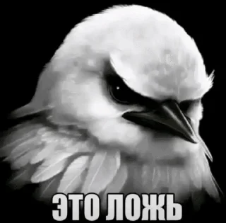 😠 emoji вряд-ли... by @pipopiponya Telegram sticker 14 of 41
