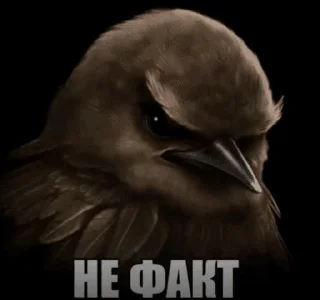 😶 emoji вряд-ли... by @pipopiponya Telegram sticker 11 of 41