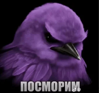 🧐 emoji вряд-ли... by @pipopiponya Telegram sticker 15 of 41