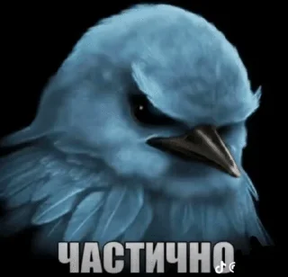 🫤 emoji вряд-ли... by @pipopiponya Telegram sticker 13 of 41